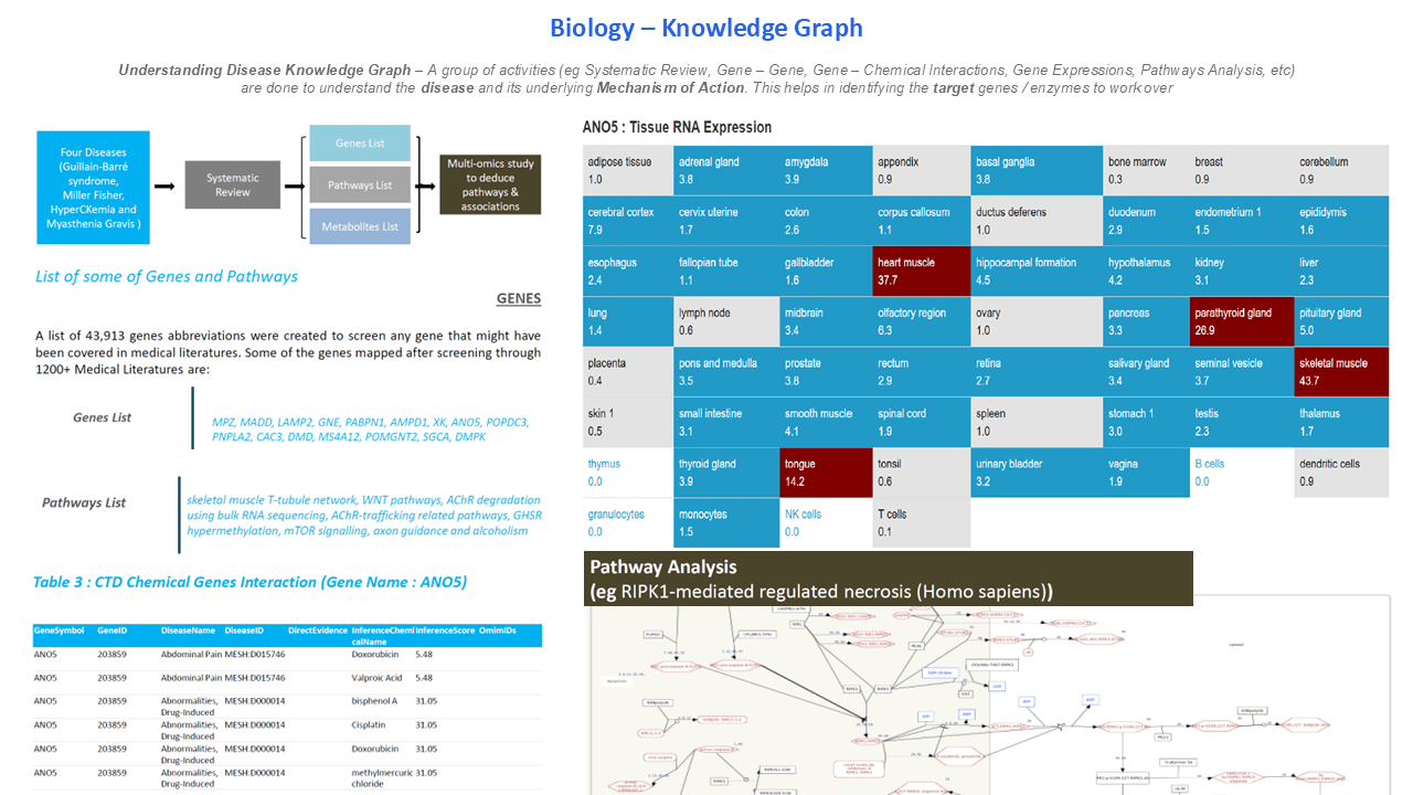 A slide from a case study about Eigengram's research - Slide 17