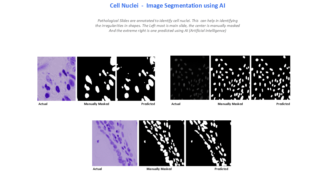A slide from a case study about Eigengram's research - Slide 4