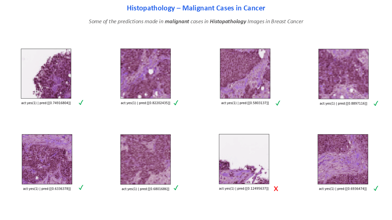 A slide from a case study about Eigengram's research - Slide 6